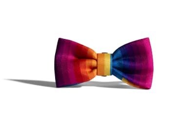 ZEEDOG PRISMA BOW - TIE LARGE1