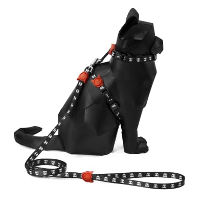 ZEEDOG CAT SKULL HARNESS + LEASH SET2