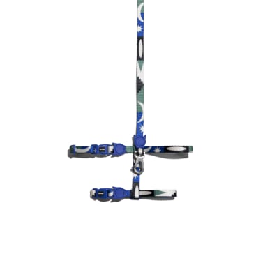 ZEECAT HARNESS & LEASH TAROT2