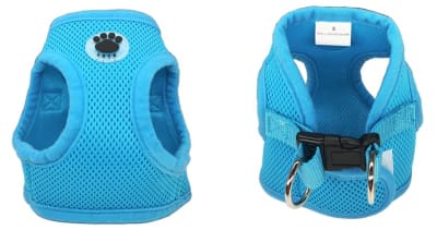 ARNES FOR MY PET TALLA4