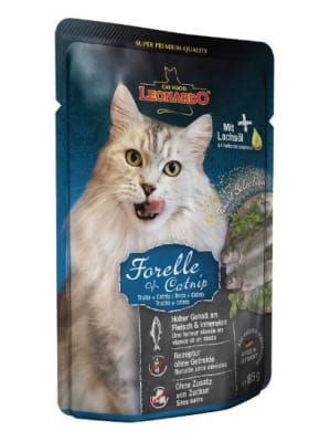SACHET LEONARDO1