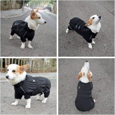 LOVELONGLONG IMPERMEABLE 4 PATAS1