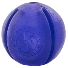 PLANET DOG ORBEE-TUFF GURU