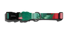 ZEEDOG BALLI COLLAR