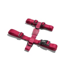 ZEEDOG BORDEAU H-HARNESS