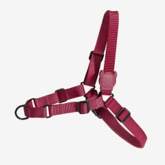 ZEEDOG BORDEAU SOFT-WALK HARNESS