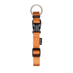 ZEUS COLLAR AJUSTABLE MANDARINA