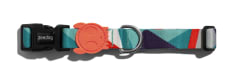ZEEDOG ELLA COLLAR