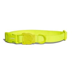 ZEEDOG NEOPRO LIME COLLAR