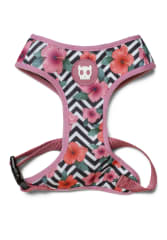 ZEEDOG MAHALO AIR MESH HARNESS