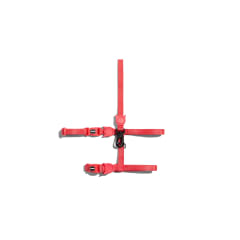 ZEECAT HARNESS & LEASH NEON CORAL