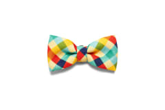 ZEEDOG PHANTOM BOW-TIE LARGE