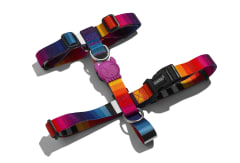 ZEEDOG PRISMA H HARNESS