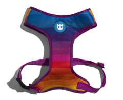 ZEEDOG PRISMA AIR MESH PLUS HARNESS