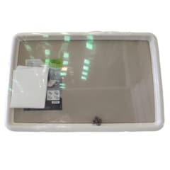 BAÑO PERRO GASTONE L
