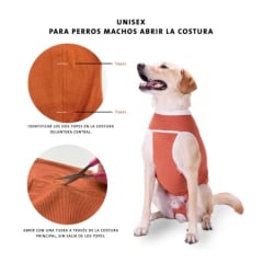KIMBA BODY COBRE