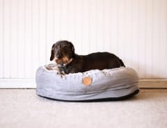 CAMA DE PERRO LAVABLE - ULMO ANIMAL REPUBLIC