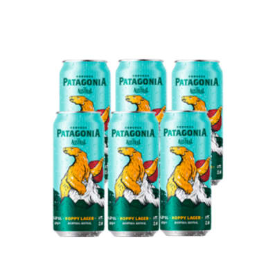 Pk Patagonia Hoppy X 6 Lata 470Cc 