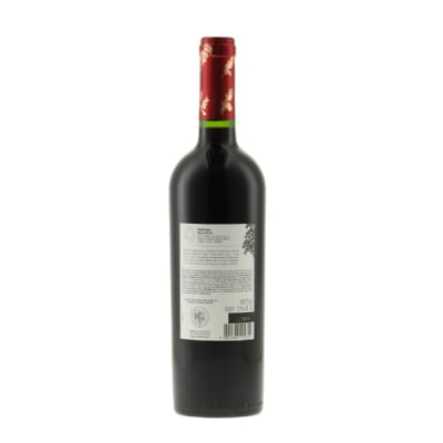 Caliterra Reserva Syrah1