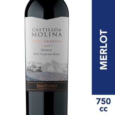 Castillo De Molina Merlot Reserva1