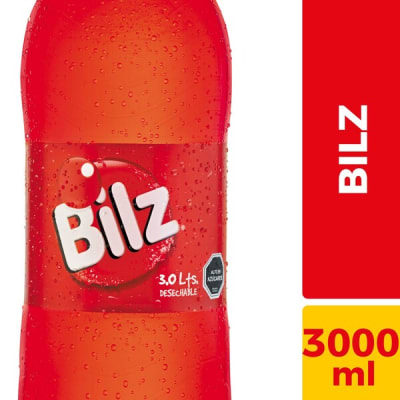 Bilz Des 3000Cc1