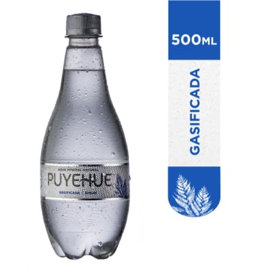 Puyehue Con Gas Botella 500Cc1