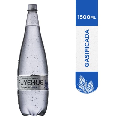 Puyehue Con Gas Des 1500Cc1