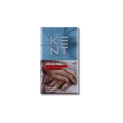 Cigarro Kent Silver 4 (20)1