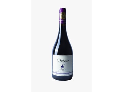 Dalbosco Gran Reserva Syrah1