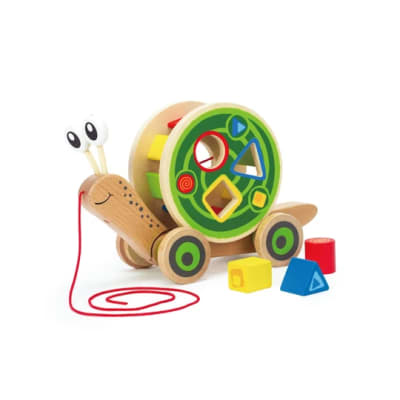 Caracol de arrastre1