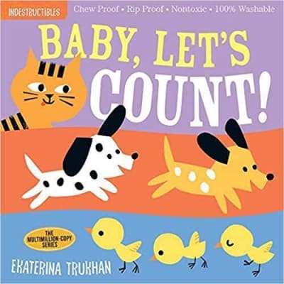 Libro Indestructibles: Baby, Let's Count!1