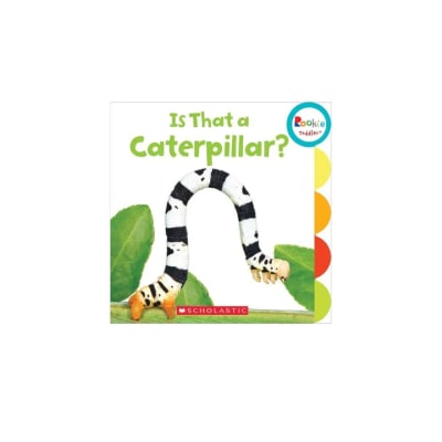 Is That a Caterpillar?1