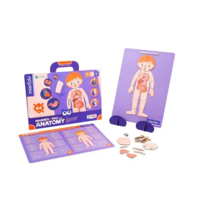 Maletín magnético Anatomía1