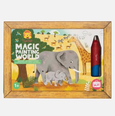 Set pintar con agua- Safari2