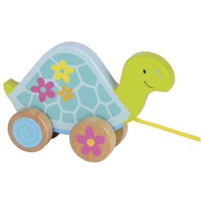 Tortuga de arrastre1