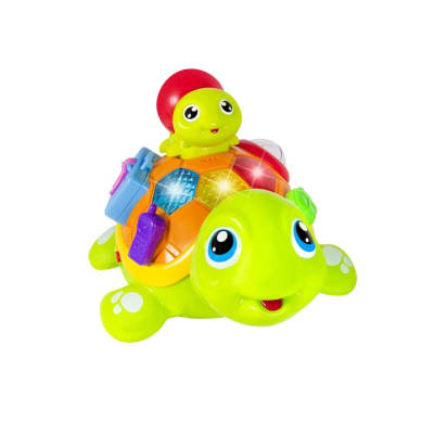 Tortuga interactiva