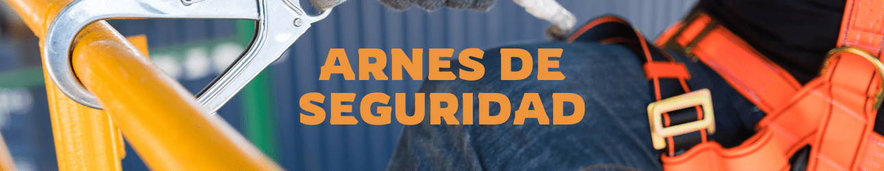 ARNES DE SEGURIDAD