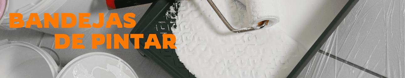 BANDEJAS DE PINTAR
