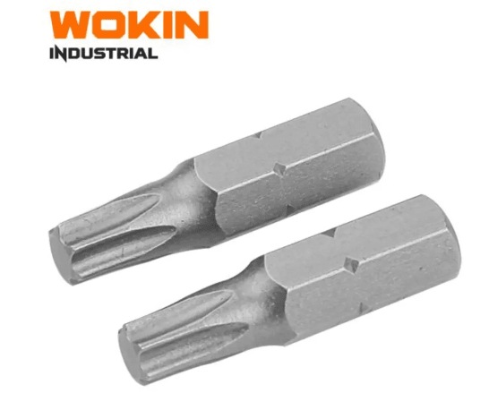 SET DE PUNTAS TORX T30*25MM WOKIN1