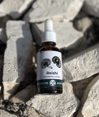 REISHI EXTRACTO