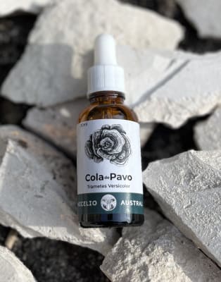 COLA DE PAVO EXTRACTO