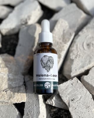 MELENA DE LEÓN EXTRACTO