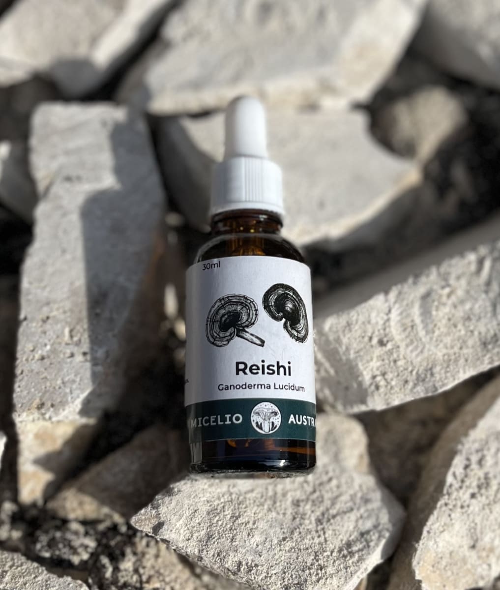 REISHI EXTRACTO1
