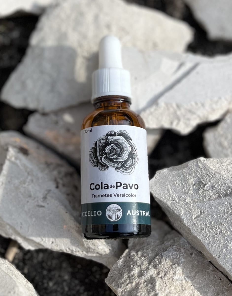 COLA DE PAVO EXTRACTO1