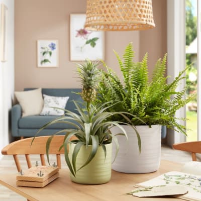 MACETEROS DE INTERIOR