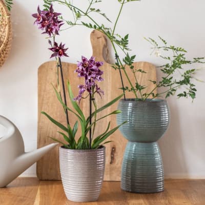 MACETEROS ORQUÍDEA