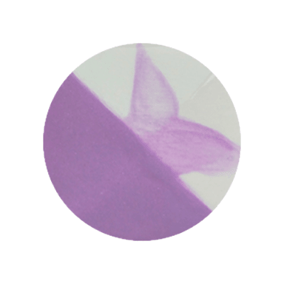 CAFÉ COLORS MORADOS