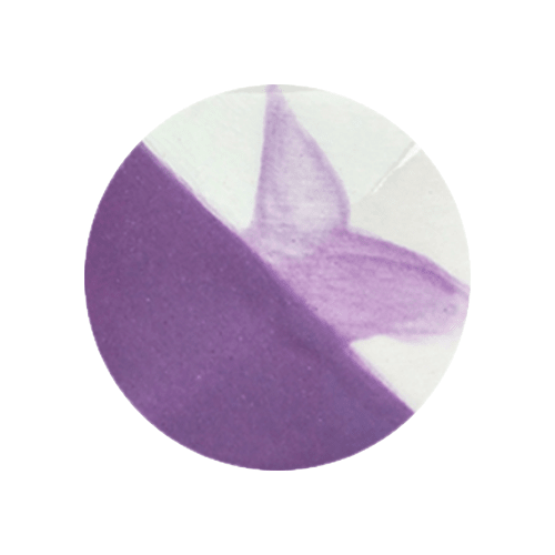 CAFÉ COLORS MORADOS2