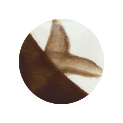 CAFÉ COLORS CAFÉS3