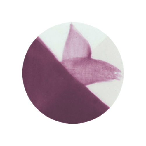 CAFÉ COLORS ROSADOS9